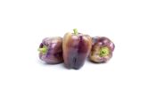 Organic Purple Bell Peppers