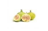 White Figs