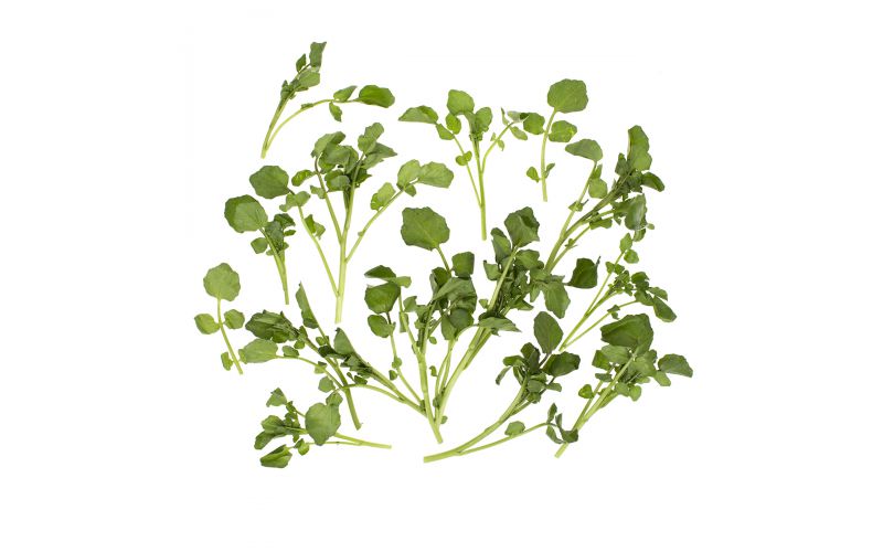 Bunched Watercress