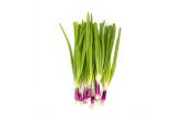 Iced Purple Scallions