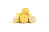 Yuzu Citrus