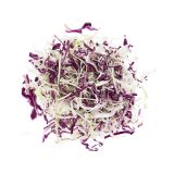 Mix Shredded Red Green Cabbage