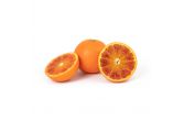 MandaRosa Red Mandarin