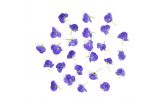 Viola Blue Flowers
