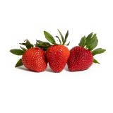 Organic Strawberries