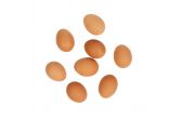 Large Organic Brown Eggs