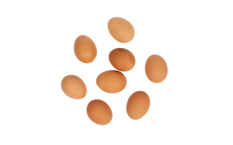 Large Organic Brown Eggs