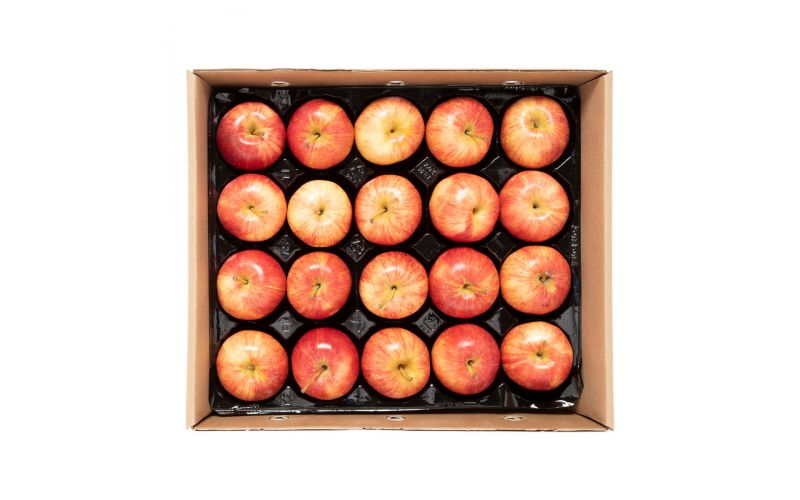 Panta-Pack Royal Gala Apples