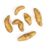 Organic Russian Banana Fingerling Potatoes
