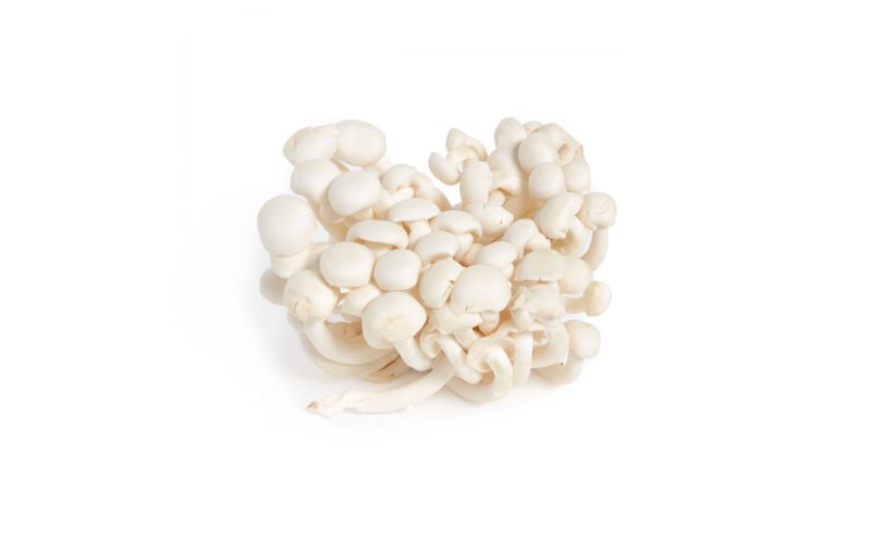 White Hon Shimeji Mushrooms