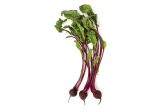 Bunched Red Beets