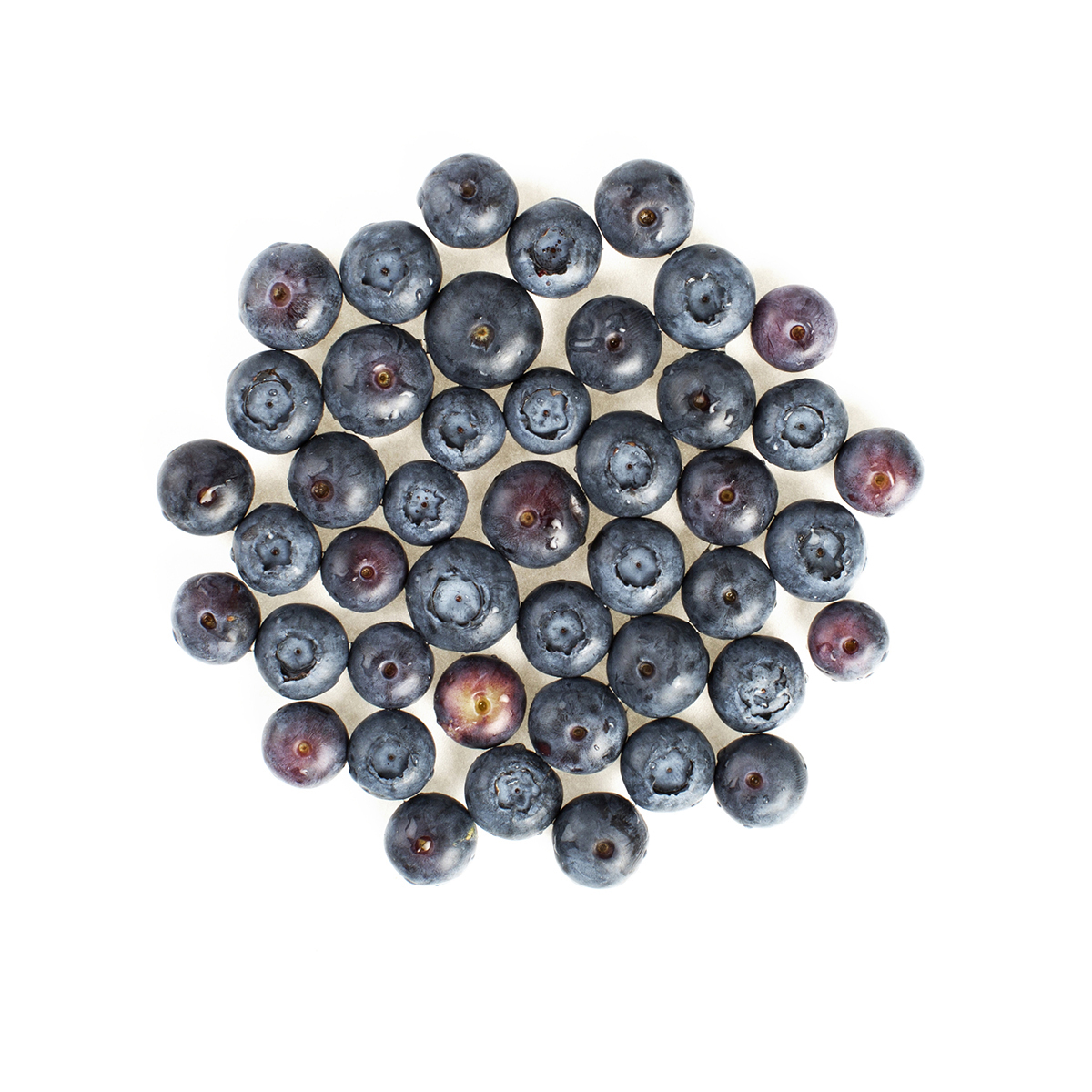 Blueberries Blueberries Baldor Specialty Foods