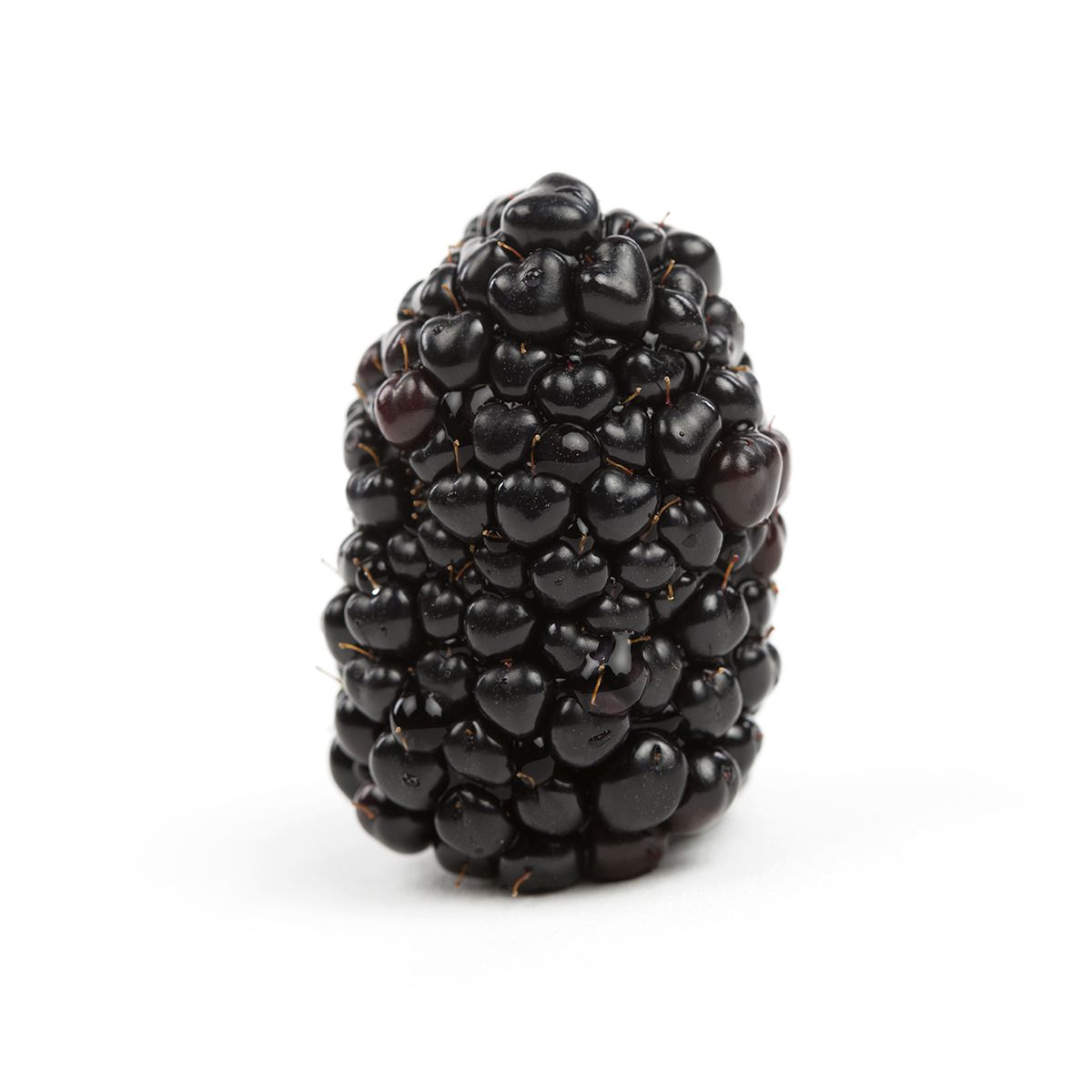 Organic Blackberries Blackberries Baldor Specialty Foods