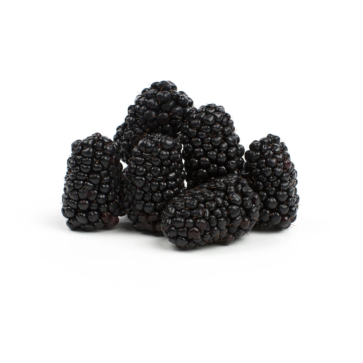 Organic Blackberries Blackberries Baldor Specialty Foods