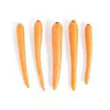 Cello Carrots
