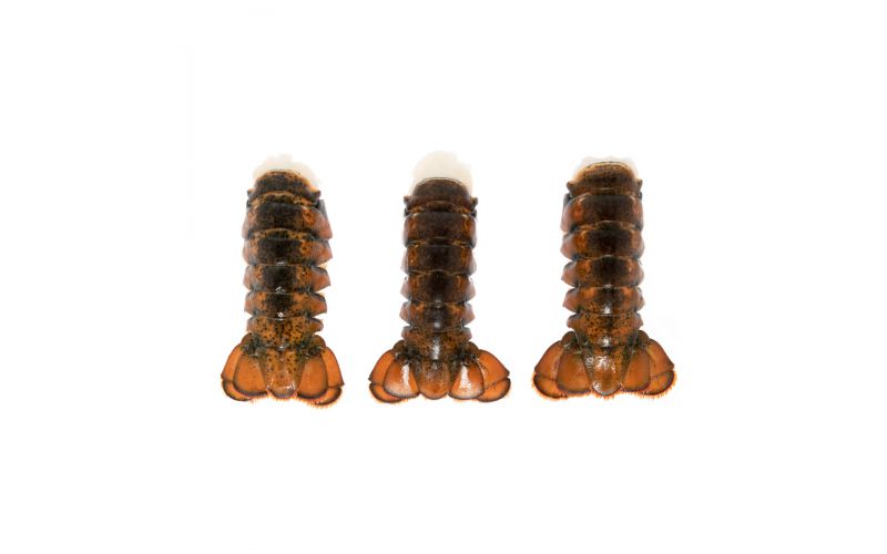 Frozen Lobster Tails 5-6 OZ