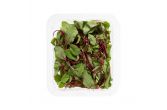 Organic Baby Beet Greens With Roots