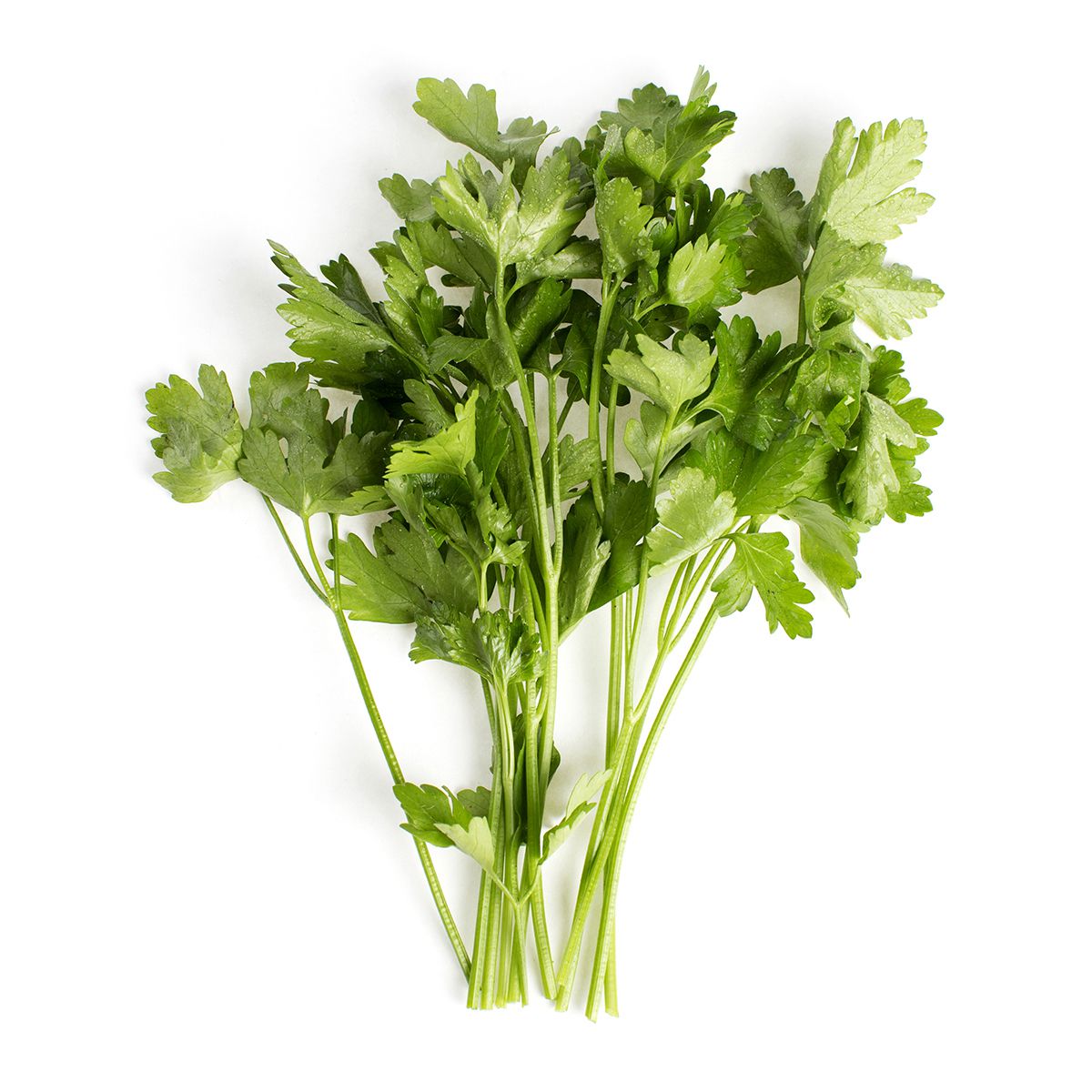Local Italian Parsley Parsley Baldor Specialty Foods