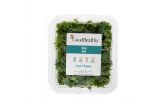 Organic Baby Kale