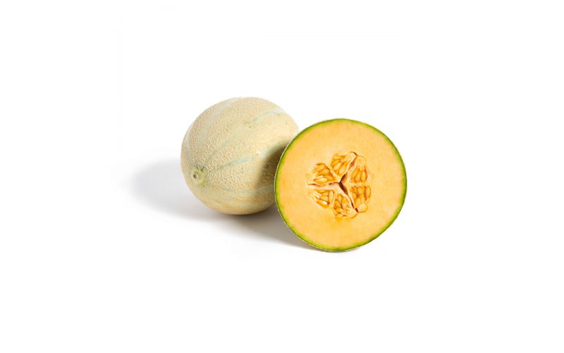 Cavaillon Melons