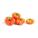 Organic Fiorentino Costoluto Heirloom Tomatoes