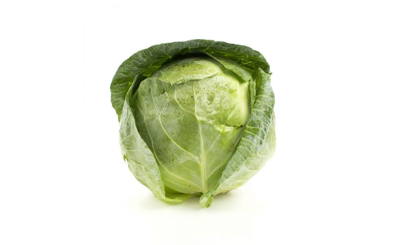 Canadian Jumbo Green Cabbage