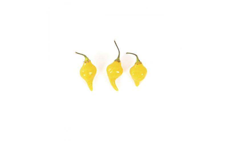 Organic Biquinho Yellow Peppers