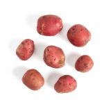 Organic Red Norland Potatoes