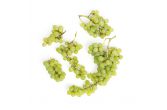 Organic Green Himrod Grapes