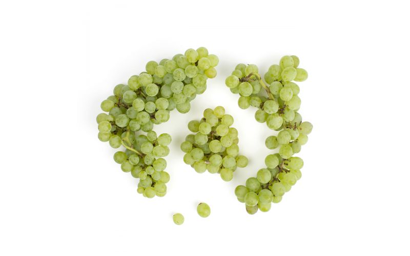 Organic Niagara Grapes