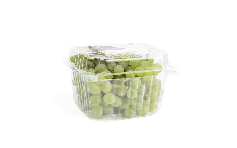 Organic Niagara Grapes