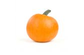 Medium Pumpkins Bin