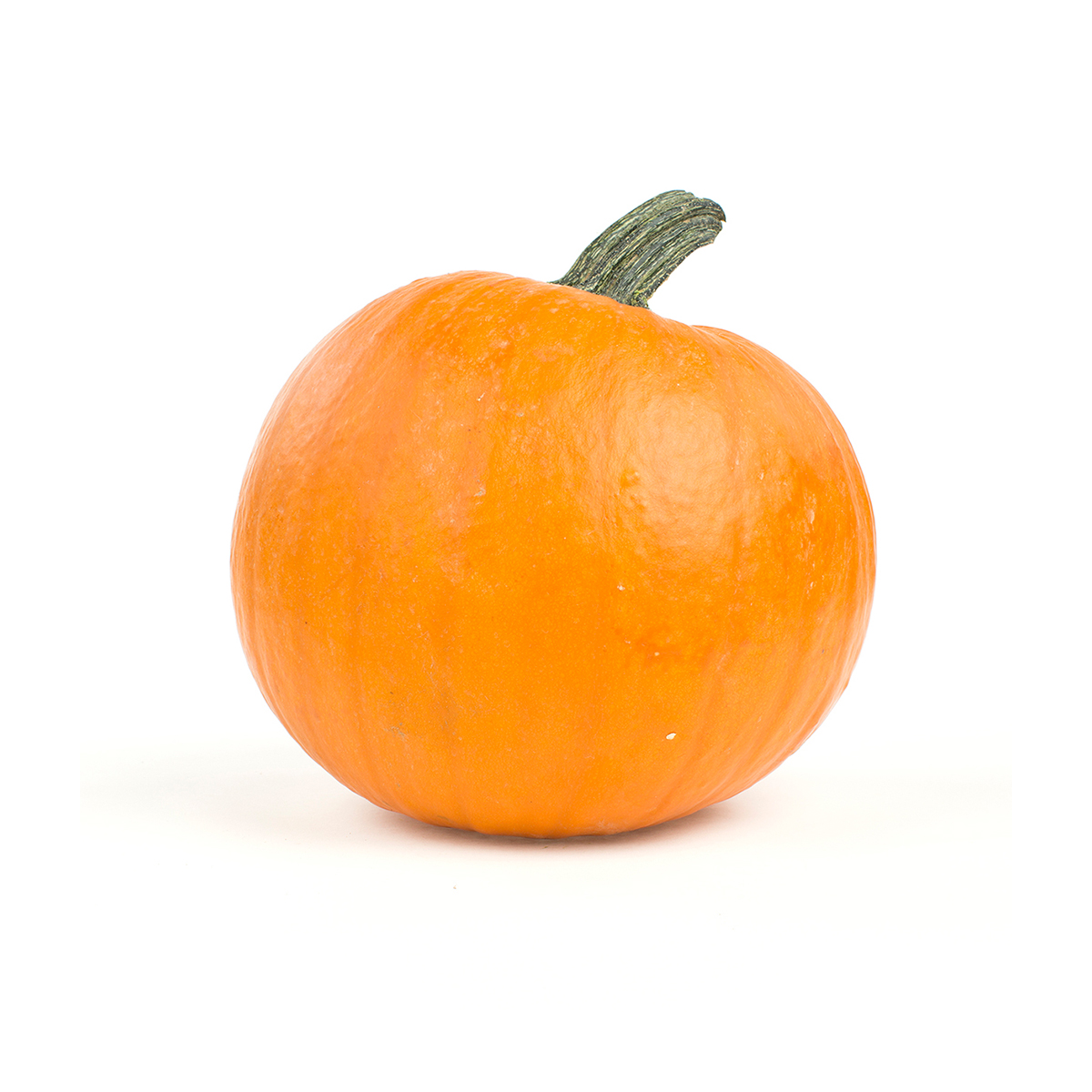 Medium Pumpkins 10-16 LB | Pumpkins | Baldor Specialty Foods