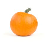 Medium Pumpkins 10-16 LB