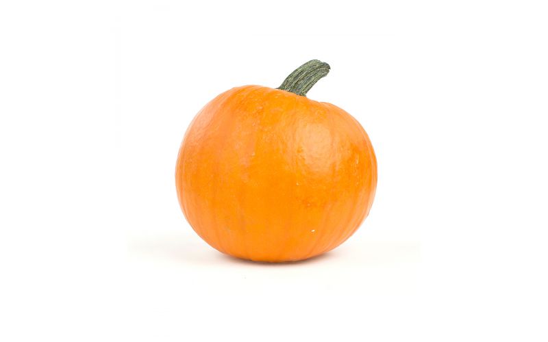 Medium Pumpkin