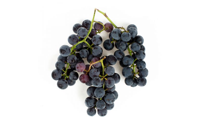 Concord Grapes