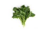 Organic Broccoli Rabe