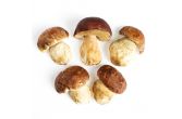 #1 Porcini Mushrooms