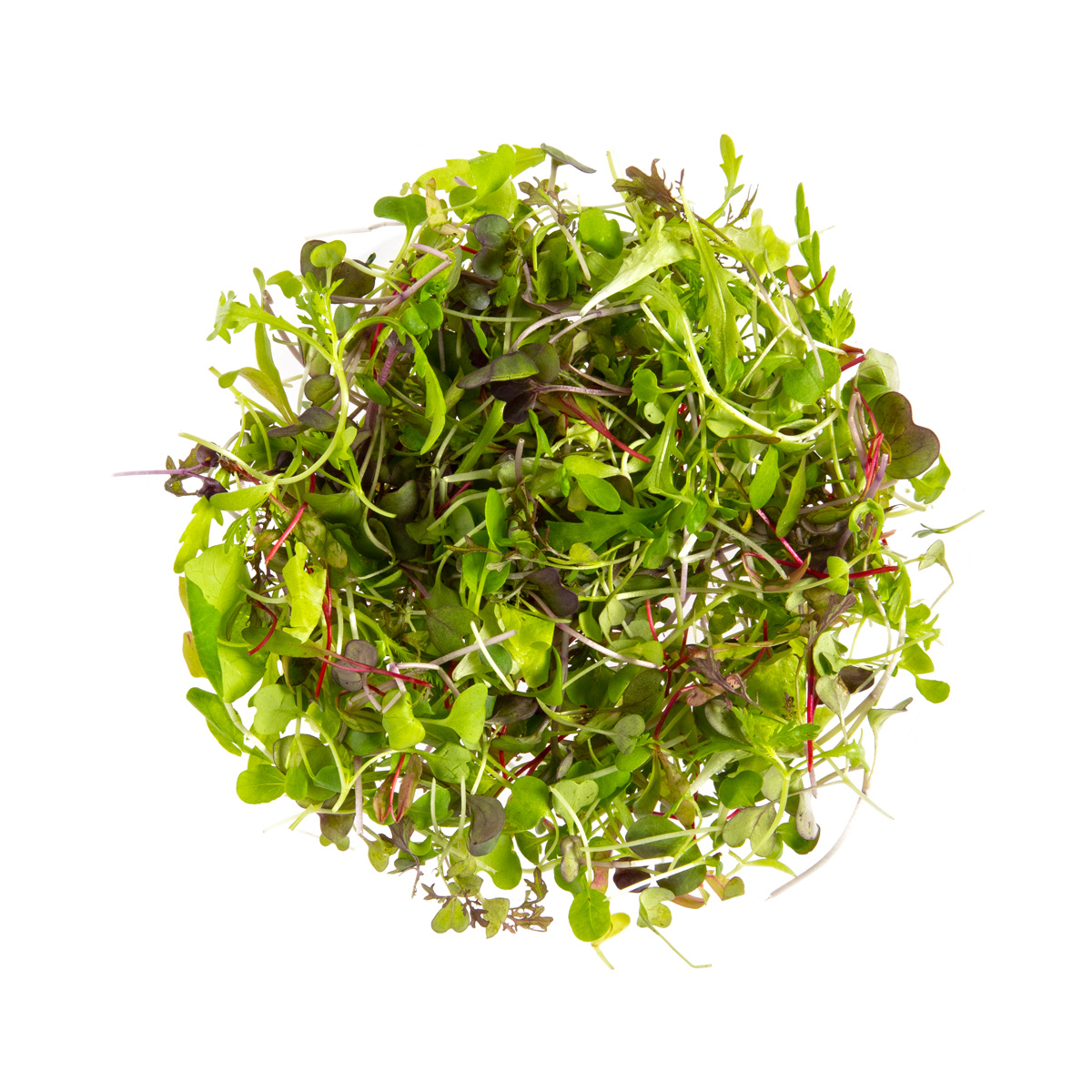 Organic Micro Spicy Blend | Microgreens | Baldor Specialty Foods