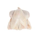 Organic Whole Turkey 10-14 LB