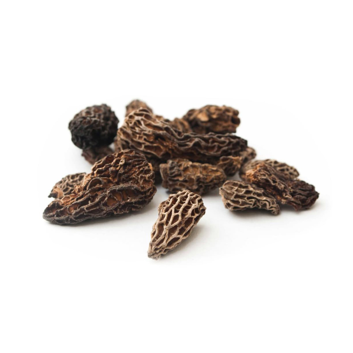Dried Morel Mushrooms Dried Mushrooms Baldor Specialty Foods