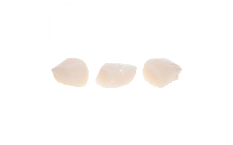 Wild Caught Fresh Medium Sea Scallops