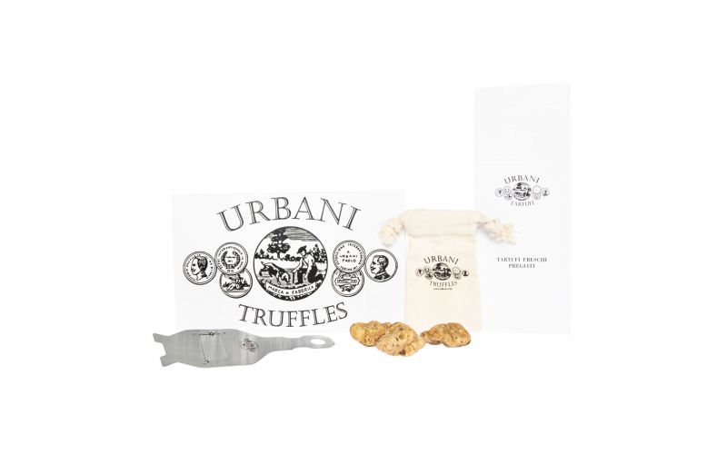 White Alba Truffle Gift Box