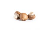 Bella Baby Whole Mushrooms