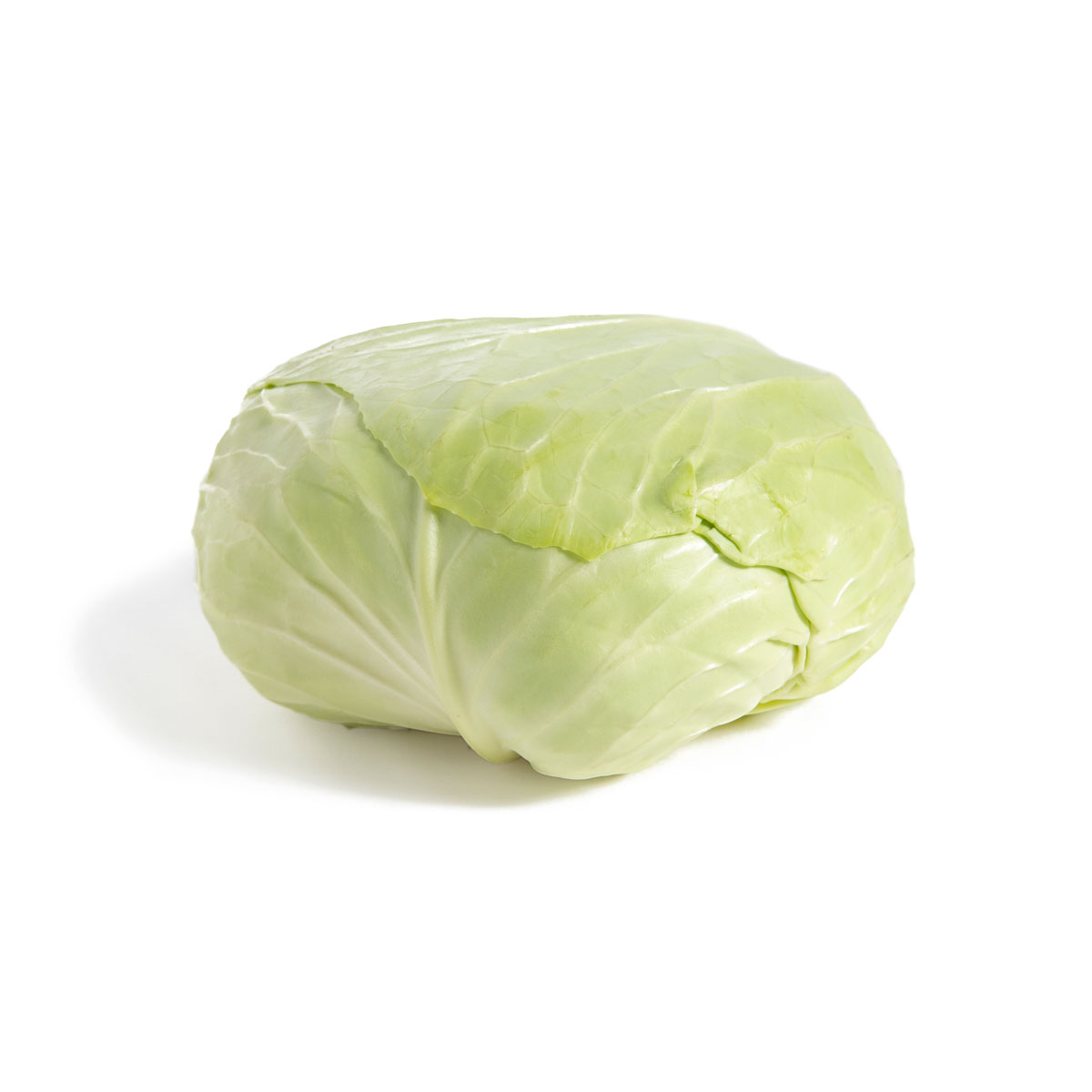 Flat Cabbage Cabbage Other Baldor Specialty Foods