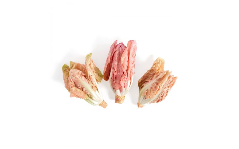 Organic Rosalba Radicchio