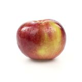 McIntosh Apples