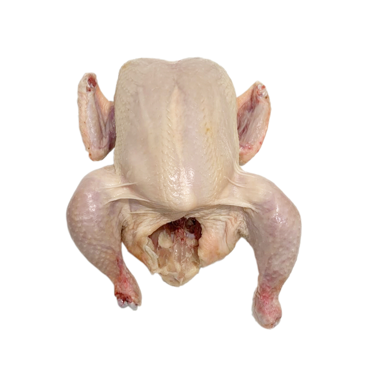 Air Chilled Whole Chickens Retail Ready Chicken Whole Baldor