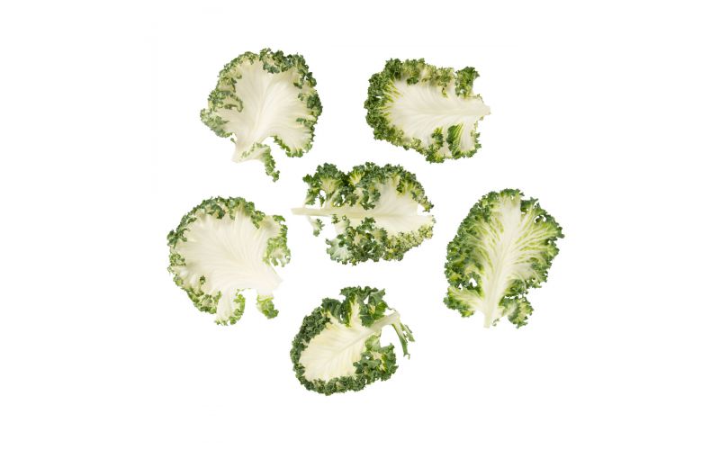Organic Casper Baby Kale