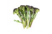 Organic Baby Purple Broccolette